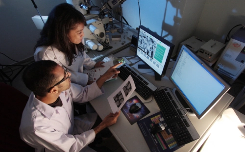 Two researchers in lab coats examining data and images of packaging on dual monitors